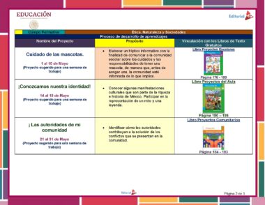 Un cuadro educativo titulado "Ética, Naturaleza y Sociedades" para Segundo Grado muestra detalles de tres proyectos que incluyen "Cuidado de las mascotas", "¡Conozcamos nuestra identidad!" y "Las autoridades de mi comunidad", con fechas, objetivos y Referencias de libros de texto en la Planeación de Mayo Segundo Grado de Primaria 2024 NEM.