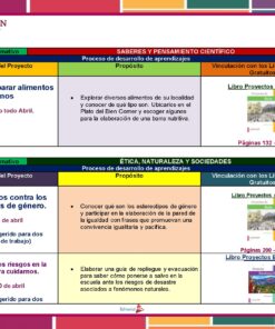 Primaria 3° Grado° Dosificacion Abril Pagina 2