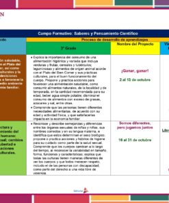 En una página de un documento educativo se presenta un cuadro que detalla el Programa Analítico 3° Primaria (Planeación Octubre 2023) bajo el tema 