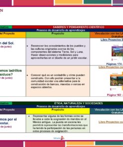 Una infografía educativa en español que detalla tres diferentes actividades de aprendizaje basadas en proyectos: 