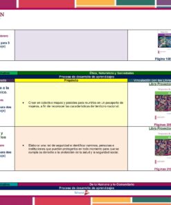 Un cuadro detallado que categoriza proyectos educativos para el tema 