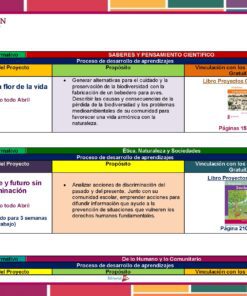 Primaria 5° Grado Dosificacion Abril Pagina 2