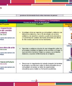 Planeaciones de Sexto Grado de Primaria | NEM 2025-2026