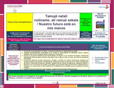 Un cartel educativo en español titulado "Programa Analítico Primaria 6° Grado (Todos los Campos Formativos) 2023 - 2024" se centra en la biodiversidad y presenta un marco de proyecto educativo para 6° Grado, que incluye actividades, propósitos, procesos de desarrollo y estrategias de aprendizaje. El diseño es colorido y está organizado en secciones.