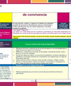 Imagen de un colorido documento educativo que describe un proyecto titulado 