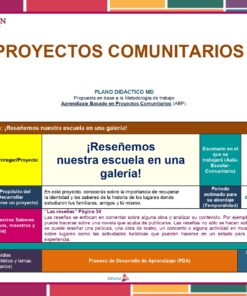 Una infografía sobre proyectos comunitarios, centrándose en la idea de 
