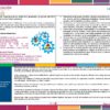 Primaria 6° Programa Analitico Editorial MD SyPC page 0002