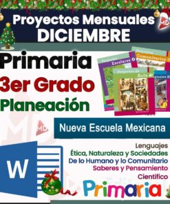 Folleto educativo con temática festiva para diciembre, que incluye una guía de planificación para el tercer grado en la 
