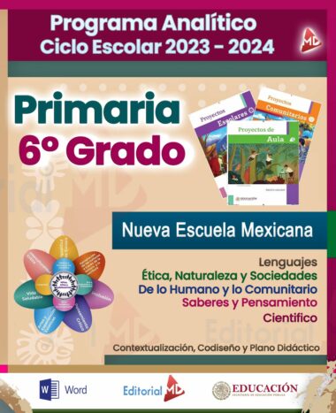 Programa Analitico Sexto Grado
