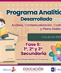 programa analitico de secundaria