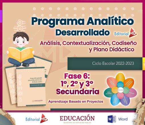 programa analitico de secundaria