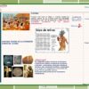 Programa Analitico Fase 6 Secundaria Etica Naturaleza ABP Editorial MD page 0014