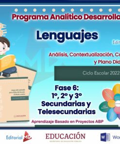 Programa Analítico Lenguajes Desarrollado