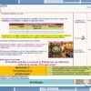 Programa Analitico Fase 6 Secundaria Lenguajes ABP Editorial MD page 0012