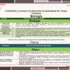 Programa Analitico Fase 6 Secundaria Saberes y Pensamiento STEAM MD page 0006
