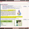 Programa Analitico Fase 6 Secundaria Saberes y Pensamiento STEAM MD page 0012