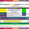 Programa Analitico Geografia 1° Editorial MD page 0005