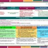 Programa Analitico Matematicas 1° Editorial MD page 0011