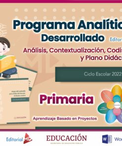 Programa Analítico Primaria