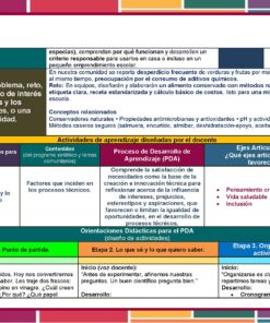 Programa Analítico Tecnología Conservación Alimentos 1° Grado SECUNDARIA (NEM 2025 – 2026) 19 Cuadro didáctico a color en español que detalla una estrategia de enseñanza. Incluye secciones para situaciones problemáticas, campos de aprendizaje, contenidos, actividades, procesos de aprendizaje, habilidades desarrolladas y evaluación, dispuestas en recuadros organizados.