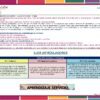 Programa Analítico Tecnología Diseño Gráfico 1° SECUNDARIA (NEM 2026 – 2027) 24 Página de documentos educativos en español sobre