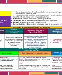 Una colorida tabla educativa en español que describe actividades de aprendizaje, objetivos, procesos y áreas de conocimiento para la educación secundaria, organizada en recuadros con títulos, viñetas e iconos.