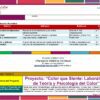 Programa Analítico Tecnología Diseño Gráfico 1° SECUNDARIA (NEM 2026 – 2027) 17 Una colorida tabla educativa que muestra criterios, indicadores, pruebas y niveles de logro para un plan de clase sobre teoría del color y psicología, con secciones resaltadas y una tabla que describe un proyecto titulado