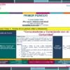 Un documento educativo describe un plan didáctico del primer período para la planificación didáctica individual. Incluye apartados de justificación del proyecto, propuesta, necesidades detectadas y posibles áreas de impacto. La tabla está codificada por colores para su organización.