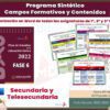 Programa Sintético SECUNDARIA Y TELESECUNDARIA