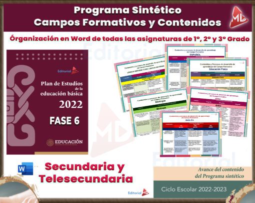 Programa Sintético SECUNDARIA Y TELESECUNDARIA