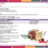 PROYECTO (PRIMARIA NEM) — "Constitución Mexicana 5 DE FEBRERO Reglas que cuidan nuestra vida” 10 Vista previa 3 de PROYECTO (PRIMARIA NEM) —