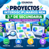 Proyectos Interdisciplinarios NEM 3.º de Secundaria | Actividades Contextualizadas | PDF
