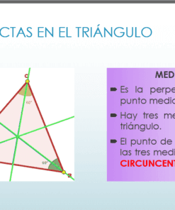 Diagrama de un triángulo con tres bisectrices perpendiculares verdes que se cruzan en un punto, etiquetado como CIRCUNCENTRO. Texto en español que explica el concepto de bisectrices perpendiculares dentro de un triángulo.