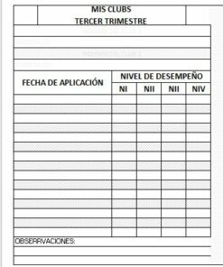 Un formulario estructurado titulado 
