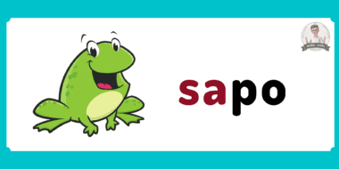 Una rana verde de dibujos animados con una gran sonrisa junto a la palabra "sapo" en español, con "sa" en rojo y "po" en negro, sobre fondo blanco con borde azul.