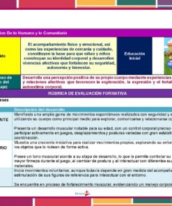 Un colorido gráfico educativo esboza rúbricas de evaluación formativa para bebés de 0 a 18 meses, detallando los niveles de desarrollo: sobresaliente, satisfactorio y básico, con breves descripciones y centrándose en el apoyo emocional y físico.