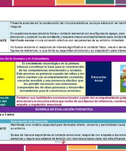 Cuadro educativo con recuadros de texto y secciones en color que explican el desarrollo emocional en la primera infancia, incluidos los criterios de evaluación, las categorías (básico, insuficiente, sobresaliente) y una rúbrica para niños de 18 meses a 3 años.
