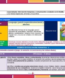Un gráfico educativo para la primera infancia destaca el aprendizaje del lenguaje para la expresión emocional y afectiva, con secciones sobre contenido, criterios de evaluación y características destacadas, incluida una imagen de niños estudiando con un profesor.