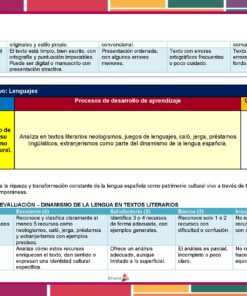 Cuadro educativo en color sobre el aprendizaje de la lengua en español, con recuadros sobre la dinámica del lenguaje, ejemplos, criterios de aprendizaje y una rúbrica para evaluar textos literarios. El gráfico tiene secciones rojas, azules, verdes y amarillas.