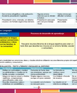 Cuadro en español en el que se exponen los criterios educativos para el aprendizaje de la lengua, incluyendo ortografía, procesos de lectura, recursos literarios, rúbricas de evaluación y niveles de rendimiento, con bordes y secciones de colores.