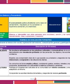 Una colorida rúbrica educativa en español para evaluar la interacción de la primera infancia con el entorno, que muestra los niveles de rendimiento 