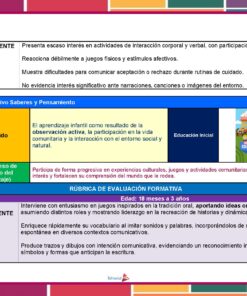 Una rúbrica para la evaluación de la educación infantil, con categorías para los niveles insuficiente y sobresaliente, el contenido del aprendizaje y el proceso de desarrollo, con recuadros de colores, iconos y una ilustración de niños jugando al aire libre.