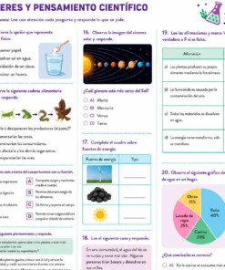 6º EXAMEN DIAGNÓSTICO NUEVO LINEAMIENTO SEP 2026-2027 3 SEXTO 3