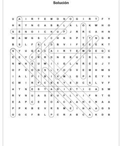 SOPA DE LETRAS MATEMATICAS SECUNDARIA page 0003