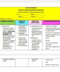 Un plan de trabajo educativo detallado en español titulado 