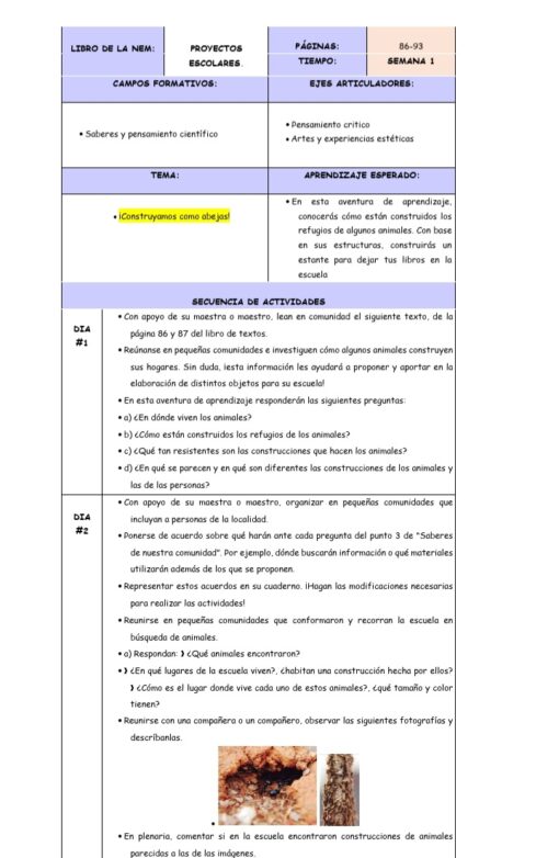 Un plan de lección en español que detalla actividades durante cuatro días para PLANEACION SEGUNDO GRADO DE LA NEM OCTUBRE (4 SEMANAS). El plan, alineado con objetivos del NEM como "Construye con lo que puedas", cubre campos de conocimiento, ejes de articulación como el "Pensamiento Crítico" y una secuencia de actividades que involucran la interacción de los estudiantes y la construcción práctica durante octubre.