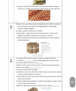 Un documento en español que detalla una actividad relacionada con la colmena en Segundo Grado, incluidos pasos y fotografías. El punto 2a describe la lectura sobre las abejas, el 2b trata sobre hacer observaciones y formar grupos, y el 2c implica construir una colmena. Una fotografía que muestra un primer plano de abejas se titula Planeación De La NEM Segundo Grado (Semana 1 a la 4).