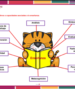 Un gato de dibujos animados sostiene un libro abierto titulado 