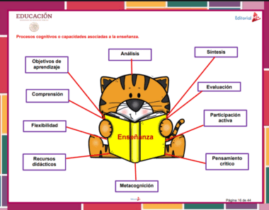 Un gato de dibujos animados sostiene un libro abierto titulado "Enseñanza". Alrededor del gato hay palabras relacionadas con procesos cognitivos: análisis, síntesis, evaluación, participación activa, pensamiento crítico, metacognición, etc.