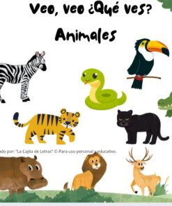 Juego “Veo, Veo ¿Qué ves? La cocina, el baño, objetos y animales 3 Screenshot 20260628 231042 Canva2